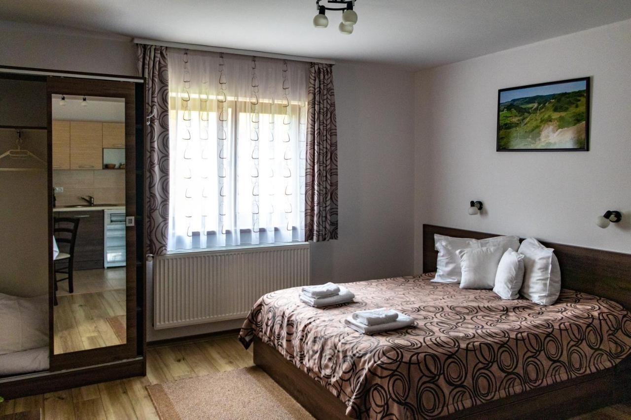 Casa Tofi Vendégház Parajd Kültér fotó