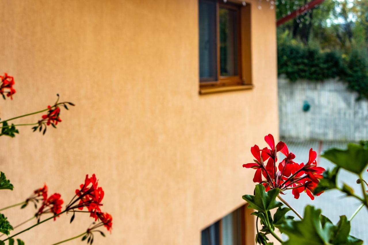 Casa Tofi Vendégház Parajd Kültér fotó