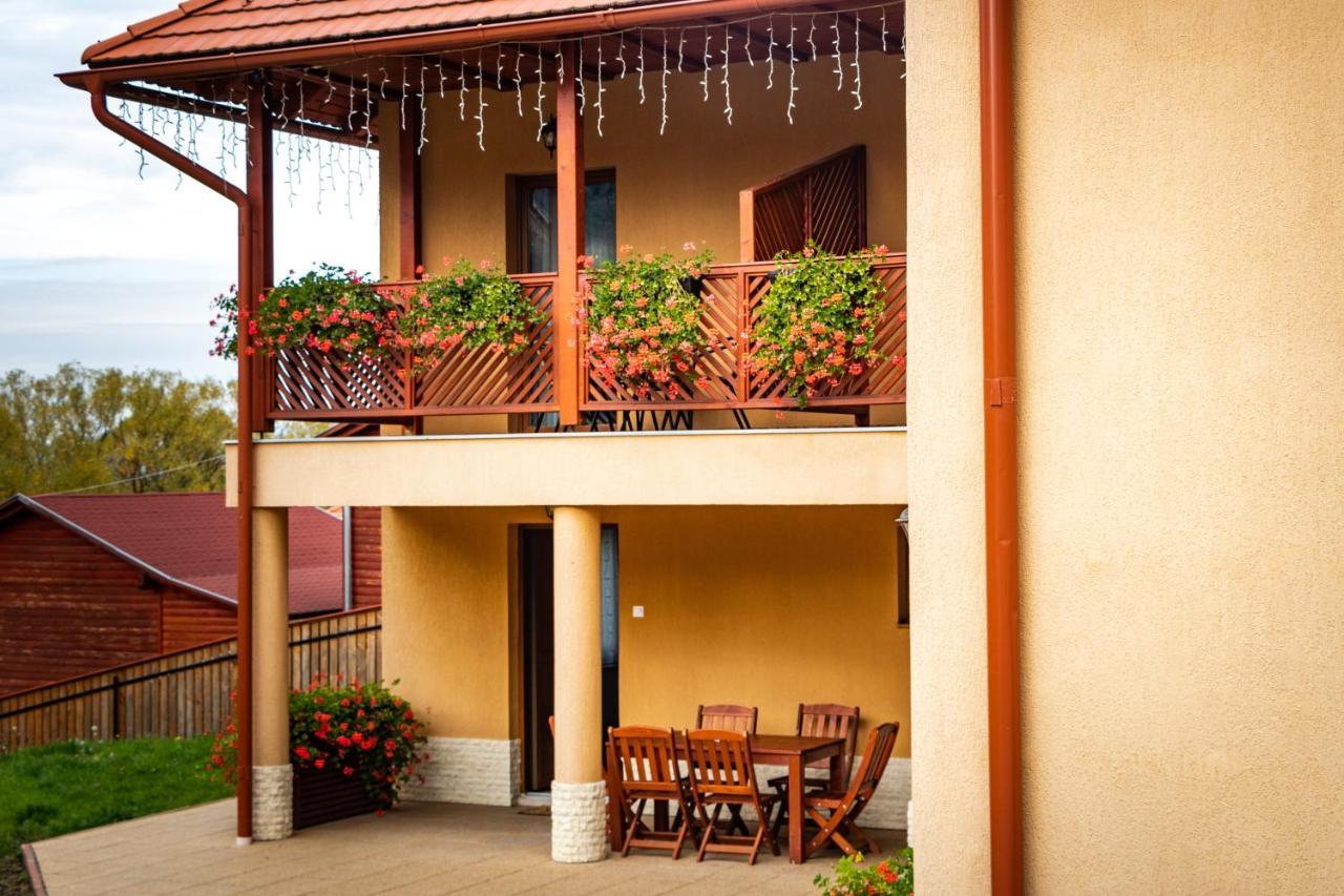Casa Tofi Vendégház Parajd Kültér fotó